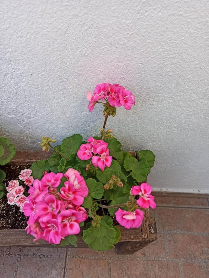 Appartamento Vasiliki Salonicco Esterno foto